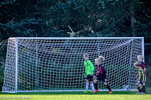 20140927 - WVV E2 - VEENDAM E2 - 024.jpg