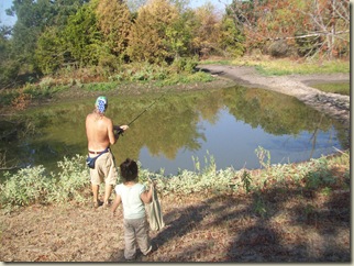 fall potatoes-3 ponds- bees 046