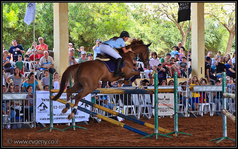 il/Фото: Stallion Show 2011 (20110416 stllion show 013 2019)