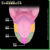 a-532 (1) a-532 (1)