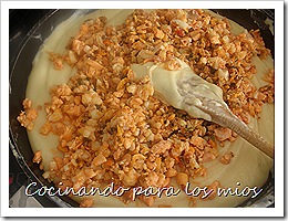 P1070035 P1070035