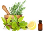 Herbs and Lemon Ingredients Herbs and Lemon Ingredients