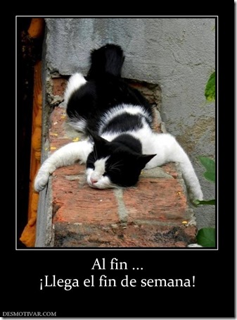 es viernes - fin de semana (3) es viernes - fin de semana (3)