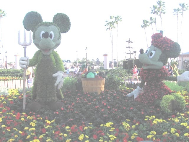 [Florida%2520vacation%2520Epcot%2520topiary%2520Mickey%2520and%2520minnie%255B3%255D.jpg]