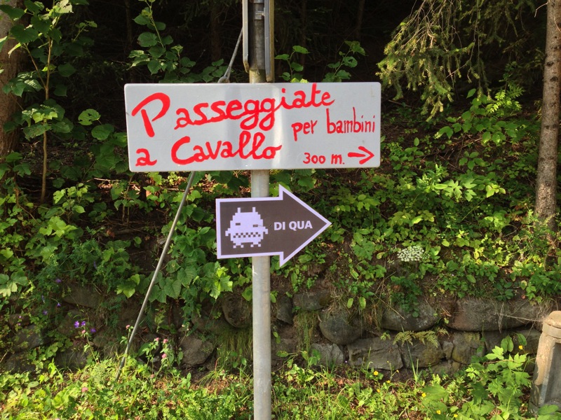 IMG_1382.jpg IMG 1382