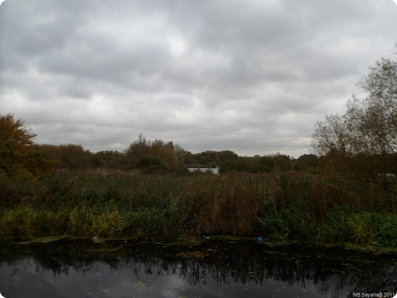 SAM_0003 Watermead