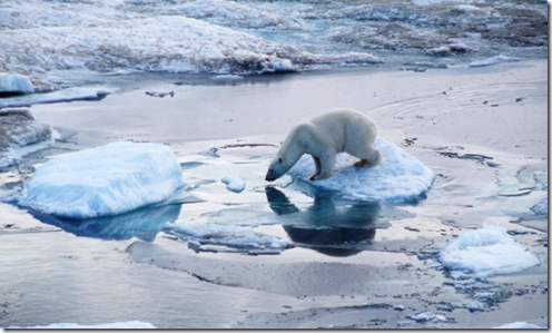 polar polar