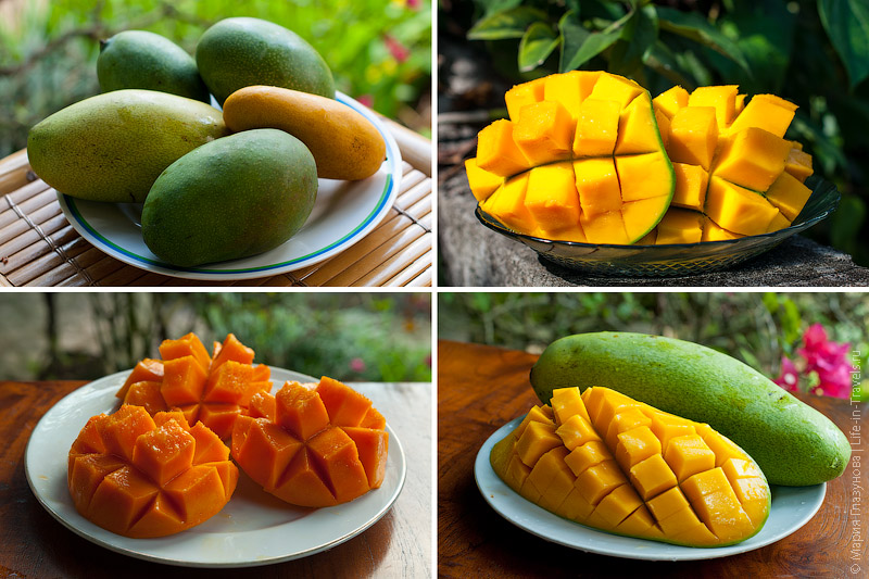 Манго (Mango) Манго (Mango)