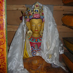 P1050332.jpg