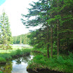 Forêt bavaroise - Lac Großer Arber