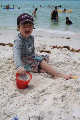 [IMG_0828%255B2%255D.jpg]