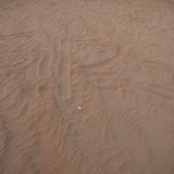 IMG_5289.JPG