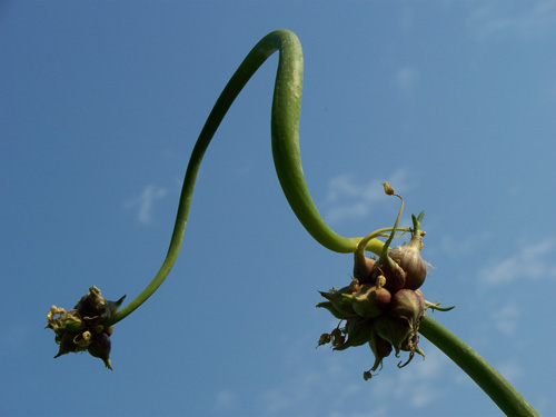 [image%255B25%255D.png]