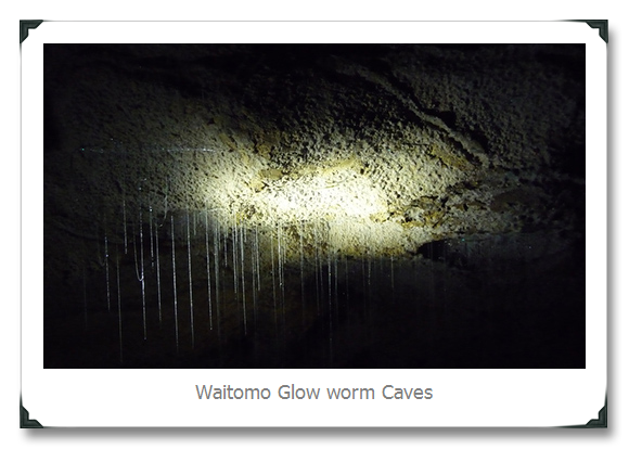 New Zealand Waitamo Glow Worm Cave