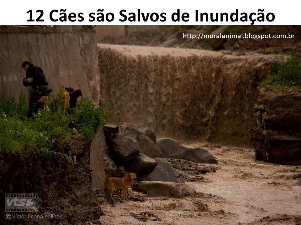 [Slide7%255B3%255D.jpg]