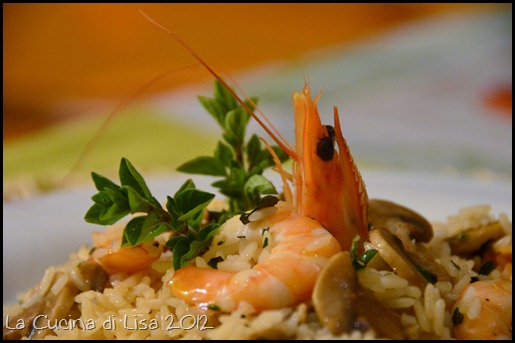 DSC_0390 DSC_0390
