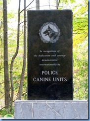 IMG_3998 IMG_3998