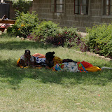 arrival at the Ewaso Ng'iro Conference Centre
