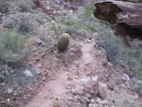 IMG_0047.JPG