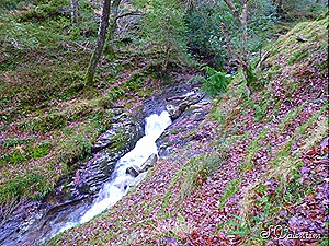 [P11204754.jpg]