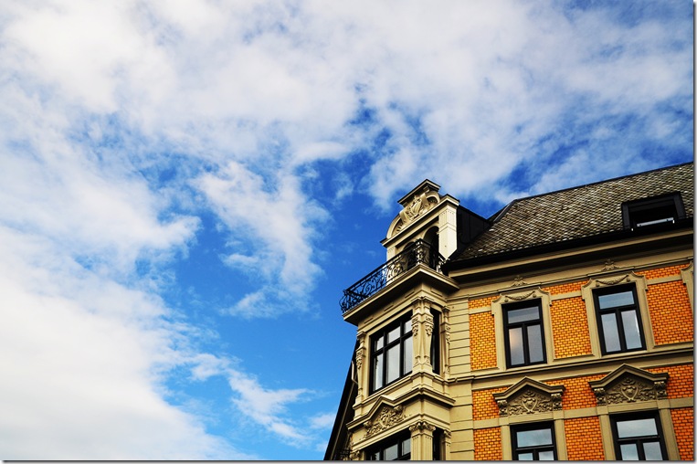 DSC_0533 copy