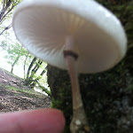 IMG_1562.JPG