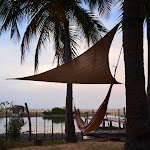 Hammock