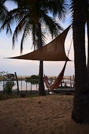 DSC_0312.JPG