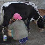 DSC_3962.jpg