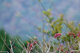 DSC01434.JPG