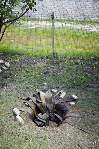 There were two kinds of barbacoa served, pork and beef. Chef Johnny had dug the holes a couple of days before in his backyard, and attended to the slow-roasting meat all night long. Traditionally, beef barbacoa is made from the cow's head, and pork is a suckling pig. There were two kinds of barbacoa served, pork and beef. Chef Johnny had dug the holes a couple of days before in his backyard, and attended to the slow-roasting meat all night long. Traditionally, beef barbacoa is made from the cow's head, and pork is a suckling pig.