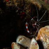 IMG_1405.JPG
