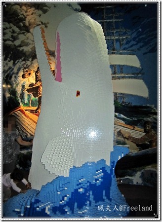 aquarium12