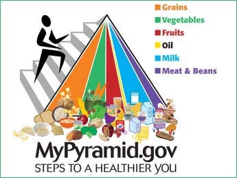 [usda-mypyramid-food-chart-border-345%255B3%255D.jpg]