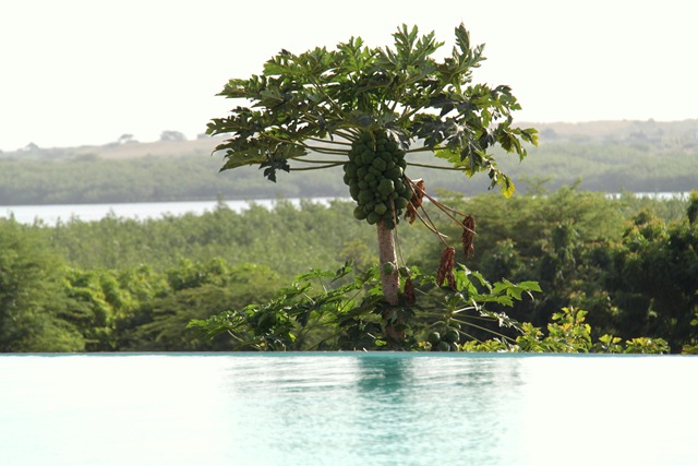 [IMG_1608%255B3%255D.jpg]