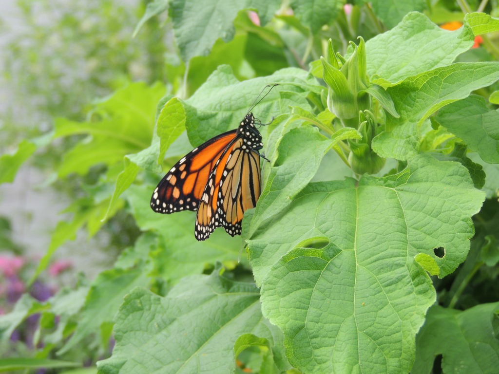 [DSCN5676%255B3%255D.jpg]