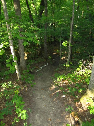 Eagle view descent on twin lakes singletrack. twin lakes is riding great!