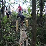 IMG_7331.jpg