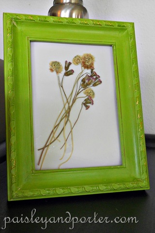 [DSCN1843-1%255B2%255D.jpg]