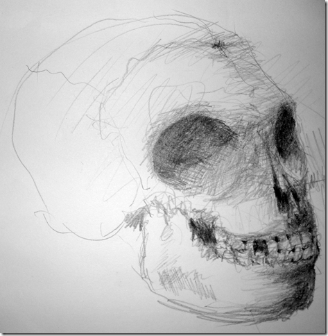 skull drawing
