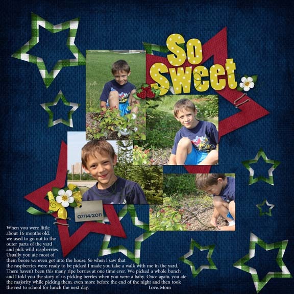 [Mitchell_2011-07-14_WildRaspberries%2520web%255B4%255D.jpg]