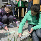 DSCN5595.JPG