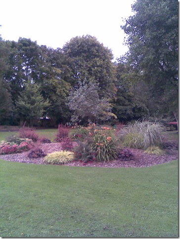 Image279