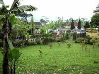 IMG_0855.JPG