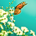 4008033338_0ef8deb927_o.jpg