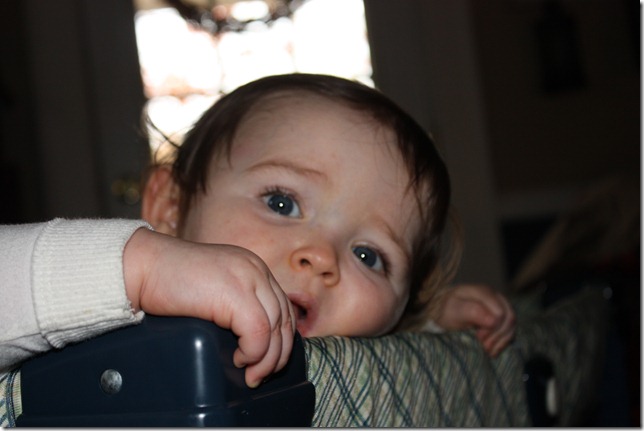 IMG_7333 IMG_7333