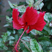 DSC_0103_05.JPG