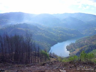 [P1190442%255B1%255D.jpg]