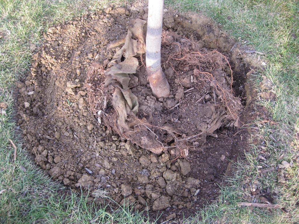 [IMG_8140%255B8%255D.jpg]