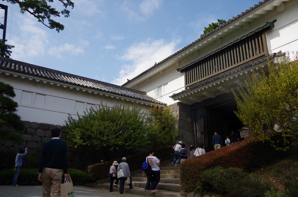 [IMGP31503.jpg]